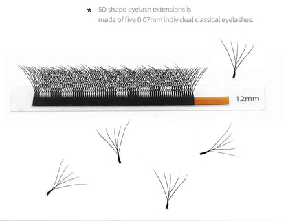 Individual Eyelash Extensions