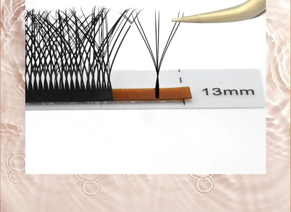 Individual Eyelash Extensions